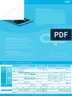 PLAN ESTUDIO DIGITAL Administracion Publica Virtual PDF