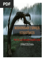 Biodiversidade e serviços ecosistemicos 