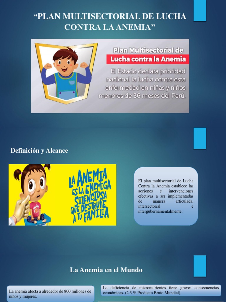Plan Multisectirial de Lucha Contra La Anemia | PDF | El embarazo | Diarrea