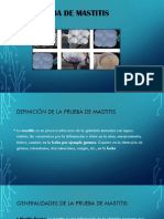 Prueba de Mastitis