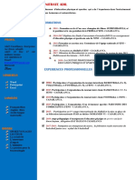 0 0 54 Modele CV Perspicace Converti Ilovepdf Compressed