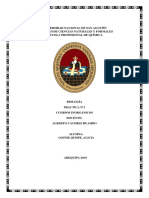 Reacción de carbonato de calcio y análisis de deficiencias de nutrientes en plantas