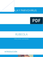 Rubeola y Parvovirus