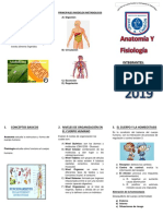 Triptico Hoy Anatomia y Fisiologia