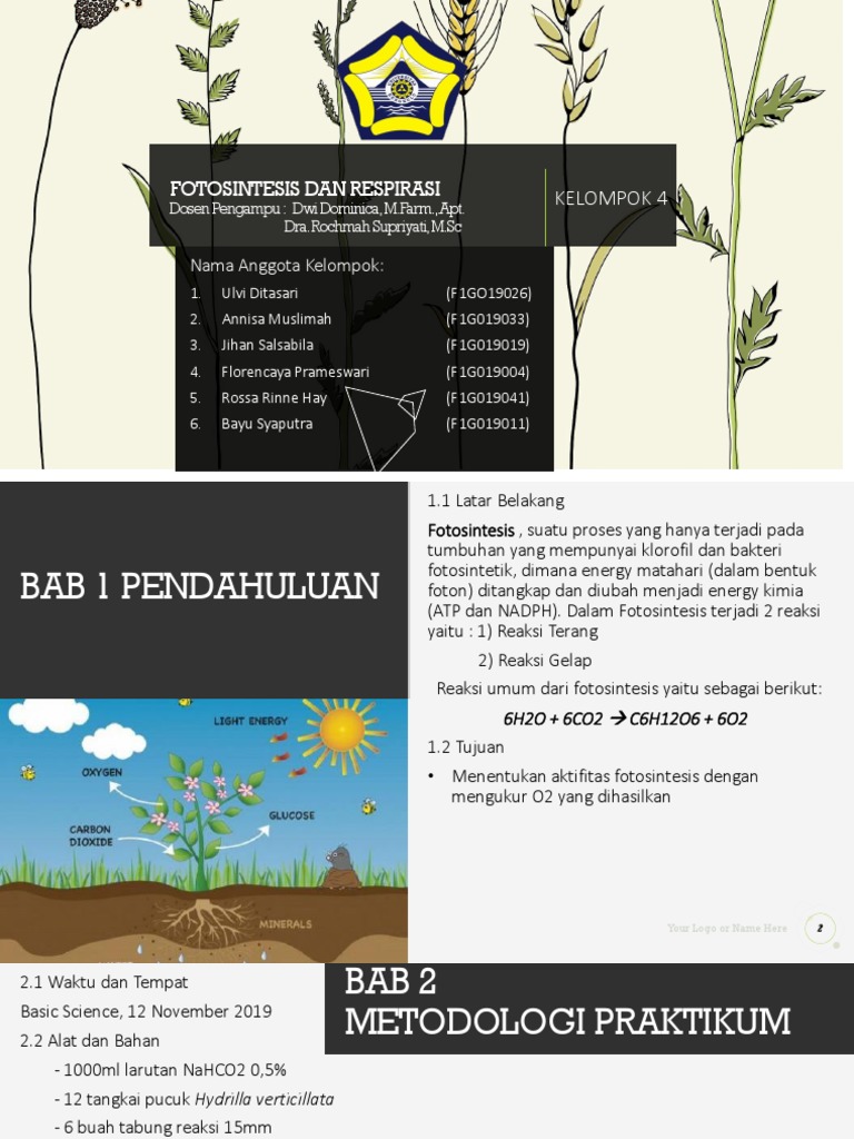 Anfistum Fotosintesis Dan Respirasi