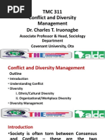 Conflict and Diversity Management