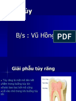 Giải phẫu tủy răng