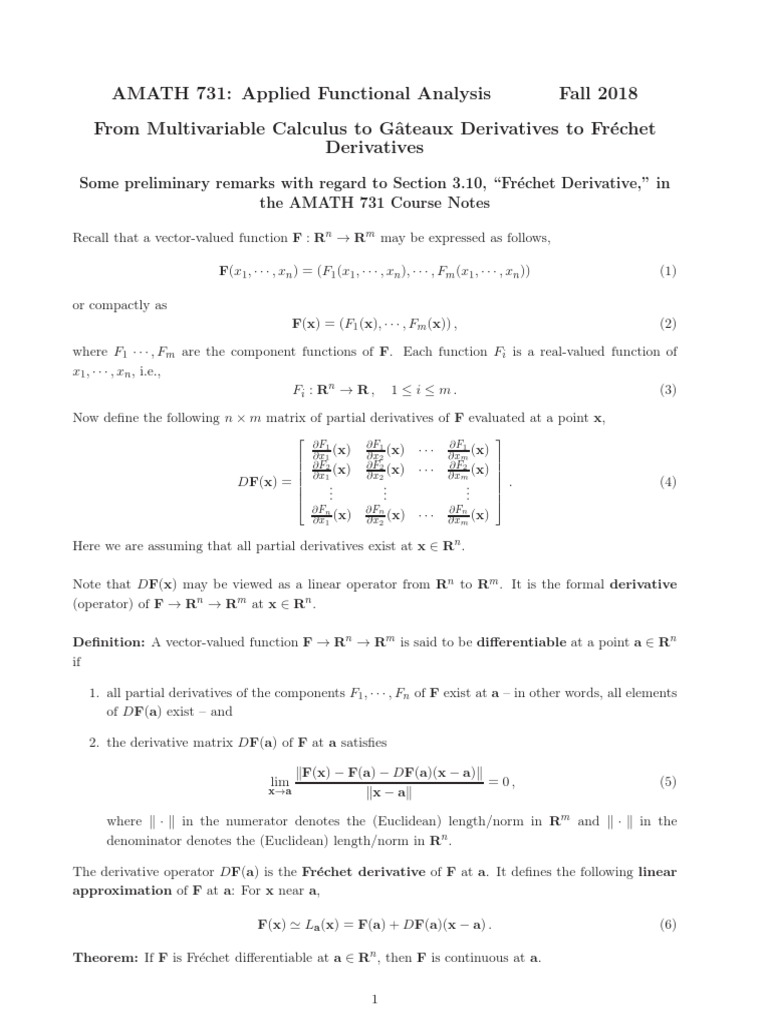 From Multivariable Calculus To Gateaux and Frechet Derivatives PDF