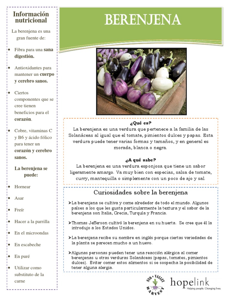 EGGPLANT Spanish FINAL PDF Berenjena Vegetales