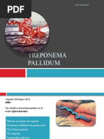 Download Treponema pallidum by Suri Lorenzo SN44035458 doc pdf