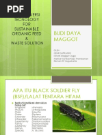 Budi Daya Maggot 1 EDIT PDF