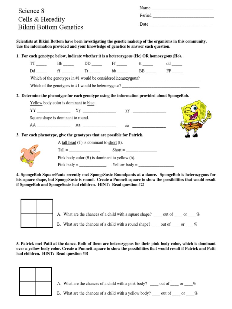 Bikini Bottom PDF Genotype Dominance