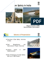 Dam Safety in India PDF