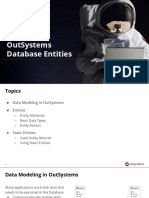 3.1-Database Entities PDF