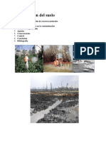 Monografia-Contaminación Del Suelo