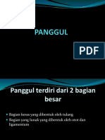 Panggul-1
