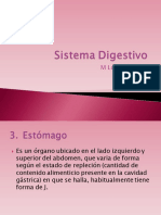 5 Sistema Digestivo 2