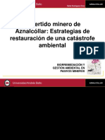 1.Delia-Rodriguez_UNABChile_charlabiorremediacion_unab.pdf