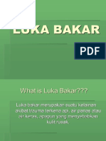 Luka Bakar