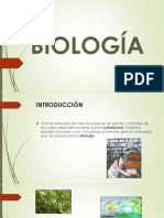 Clase 01 PDF