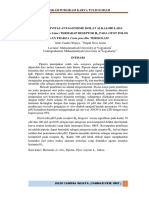 Naskah Publikasi - Julio Candra Wijaya PDF