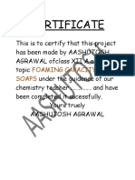 Class 12 Investigatory Report Chemistry Foaming of Soaps