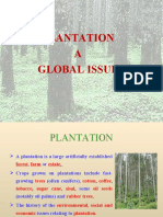 Why We Go for Plantation