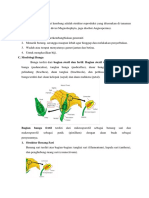 Resume Struktur Tumbuhan