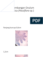 Perkembangan Ovulum Markisa (Passiflora sp)pdf.pdf