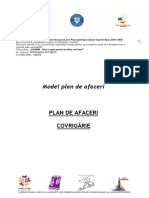Model Plan de Afaceri Pentru Examen