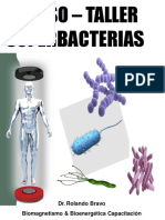 Bacterias Rolando