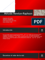 Metodo Newton Raphson