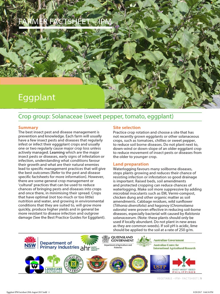 Eggplant Pest Management Guide | PDF | Branches Of Botany | Agriculture