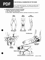 90-90 Hamstring Flexibility Assessment | PDF