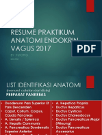 (2017) Resume Praktikum Anatomi Endokrin