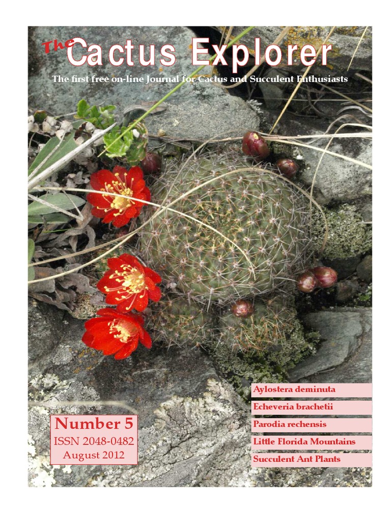 Cactus Explorer 05 - Complete PDF | PDF | Branches Of Botany | Botany