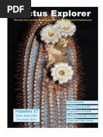 Lithops – Treasures of the Veld (Eng) – Dressrosa Garden