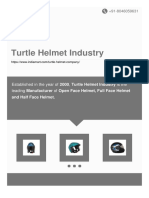 Turtle Helmet Industry
