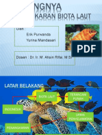 Pentingnya Penangkaran Biota Laut