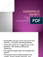 Haemophilus Ducreyi