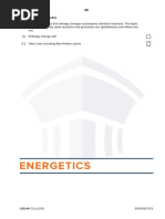 8 Energetics Notes PDF