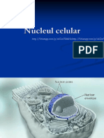 Curs - Nucleul Celular