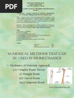 Fem Application Biomechanics