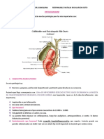 Patologia Biliar Cir - Abdomen