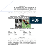 Pembahasan Diagnostik Ayam