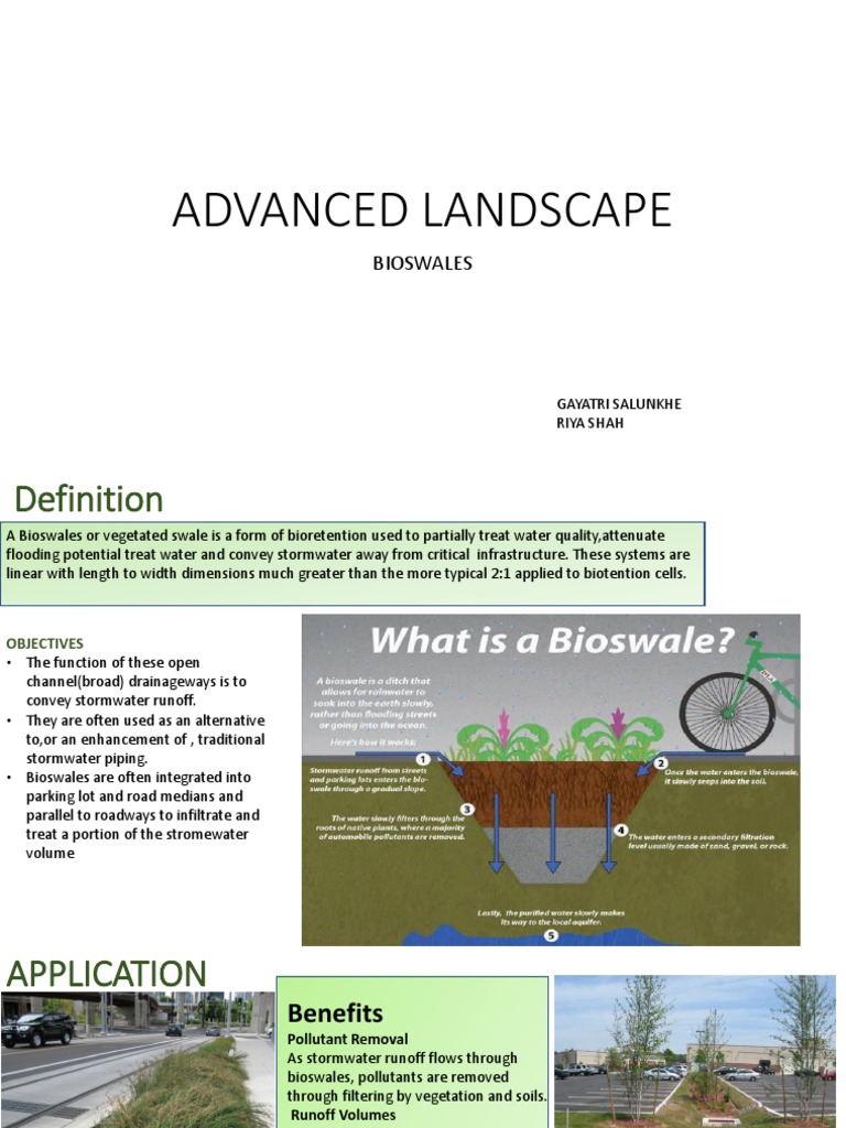 Bioswale | PDF | Stormwater | Surface Runoff
