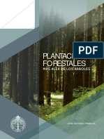 Plantaciones Forestales