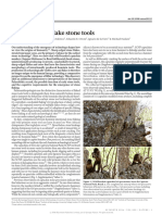 Wild Monkeys Flake Stone Tools PDF