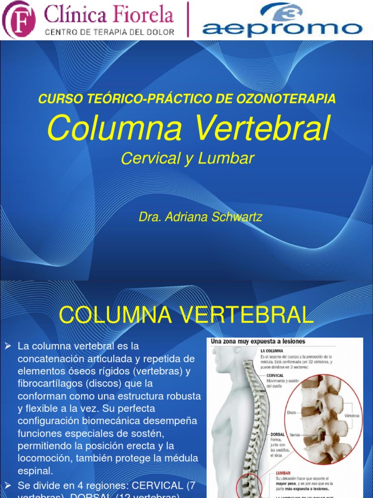 PRESENTACIoN COLUMNA PDF | PDF | Vértebra | La columna vertebral
