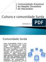 4 Cultura e Comunidade Surda